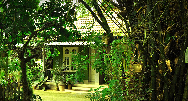 villa wayanad for holiday stay