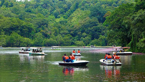 pookode lake wayanad