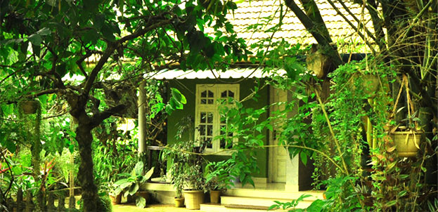 summer villa homestay wayanad