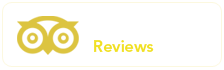 Tripadvisor reviews